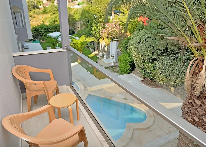 酒店 卡利斯酒店 3*